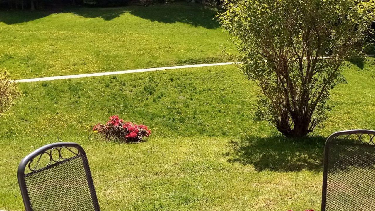 Sonnenplatz auf der Terasse Sonnenplatz auf der Terasse